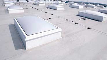 ELEMENTOS EMERGENTES